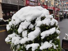 -麦当劳(中山路店)