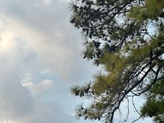 -东湖落雁景区