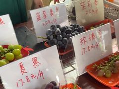 -马陆小张葡萄园农家乐