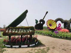 -荷兰花海