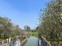 -海珠湖公园