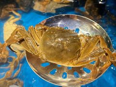 -亚马逊蒸汽活海鲜自助(LCM置汇旭辉广场店)