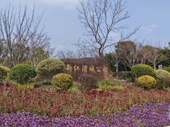 -新江湾城公园