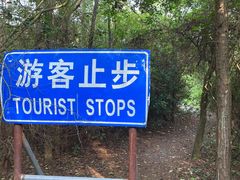 -上海海湾国家森林公园