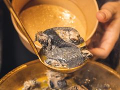 -Darling Queen·Mini·Live·House