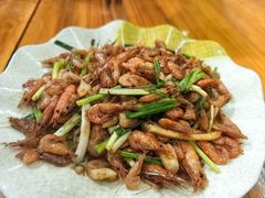 -柴火农家饭(遇龙河店)