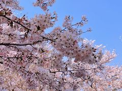 -龙美术馆(西岸馆)