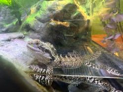 -酷嗒动物文化乐园(cutezoo西溪乐天城店)