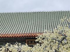 -珠海圆明新园
