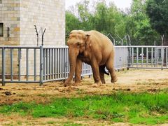 -石家庄市动物园