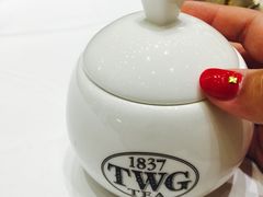 -TWG Tea(台北101购物中心沙龙及精品门市)