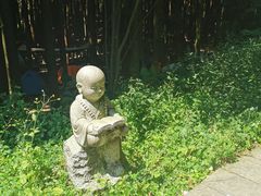 -武陵山森林公园