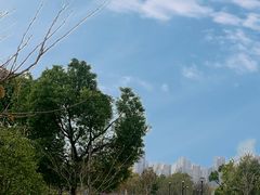 -上海山野camping·户外天幕烧烤·团建拓展营地