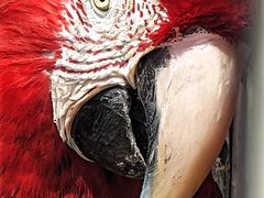 -石家庄市动物园