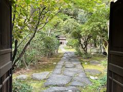 -名古屋城