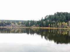 -五营红松林海景区