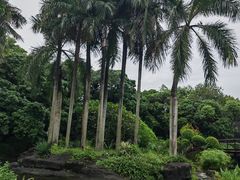 -荔枝公园(福田区)