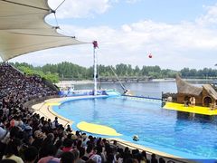 -秦皇岛乐岛海洋王国