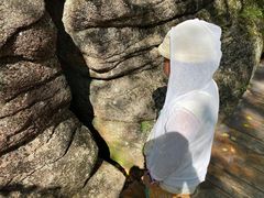 -汤旺河林海奇石景区