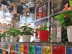 -巴依老爷新疆美食(清华东门店)