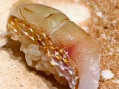 -荣一代目OMAKASE板前料理