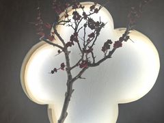 -大桶大足浴(田林路店)