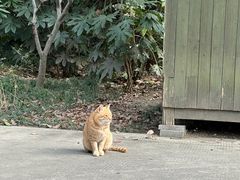 -长广溪湿地公园
