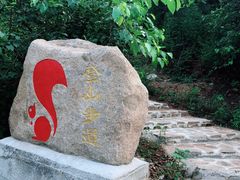 -欢乐松鼠谷