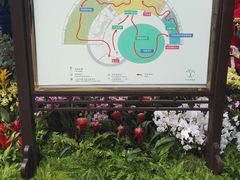 -北京植物园-展览温室
