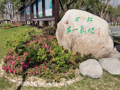 -合肥滨湖国家森林公园