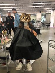 -MY HAIR ARDOR