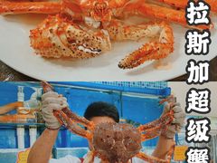 -蚝专家(北滘店)