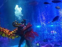 -沈阳海洋探索中心