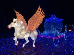 -飞凤山奥体公园
