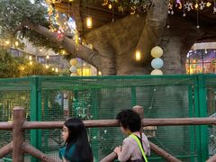 -杭州开元森泊度假乐园