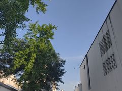 -东梓关景区村庄