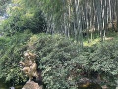 -杭州黄龙洞