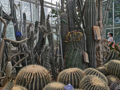 -国家植物园南园