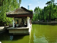 -团结湖公园