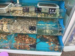 -北戴河庆山饭店·海鲜砂锅粥(北戴河黑石路店)