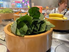 -龍歌自助小火锅(李沧丽达店)