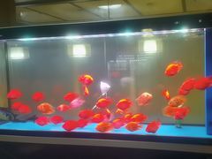 -臻享养生·SPA·影院式足道(汇臻店)