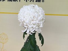 -重庆园博园