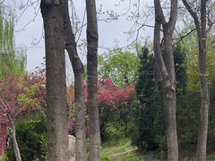 -洛阳市隋唐城遗址植物园