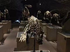 -世界恐龙谷景区