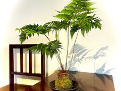 -豫园湖心亭茶楼