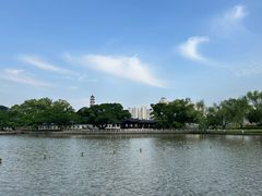 -江心屿景区