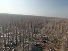 -黄海国家森林公园