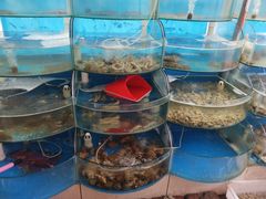 -晓伟海鲜家常菜