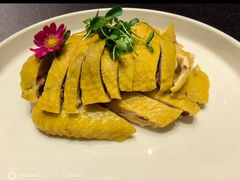 -骏莱海鲜鱼港(五角场店)